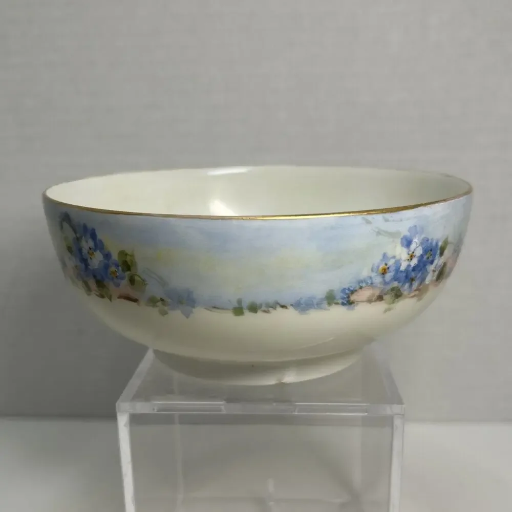 Hutschenreuther Selb Bavaria Porcelain Hand Painted Forget Me Not Flower 5